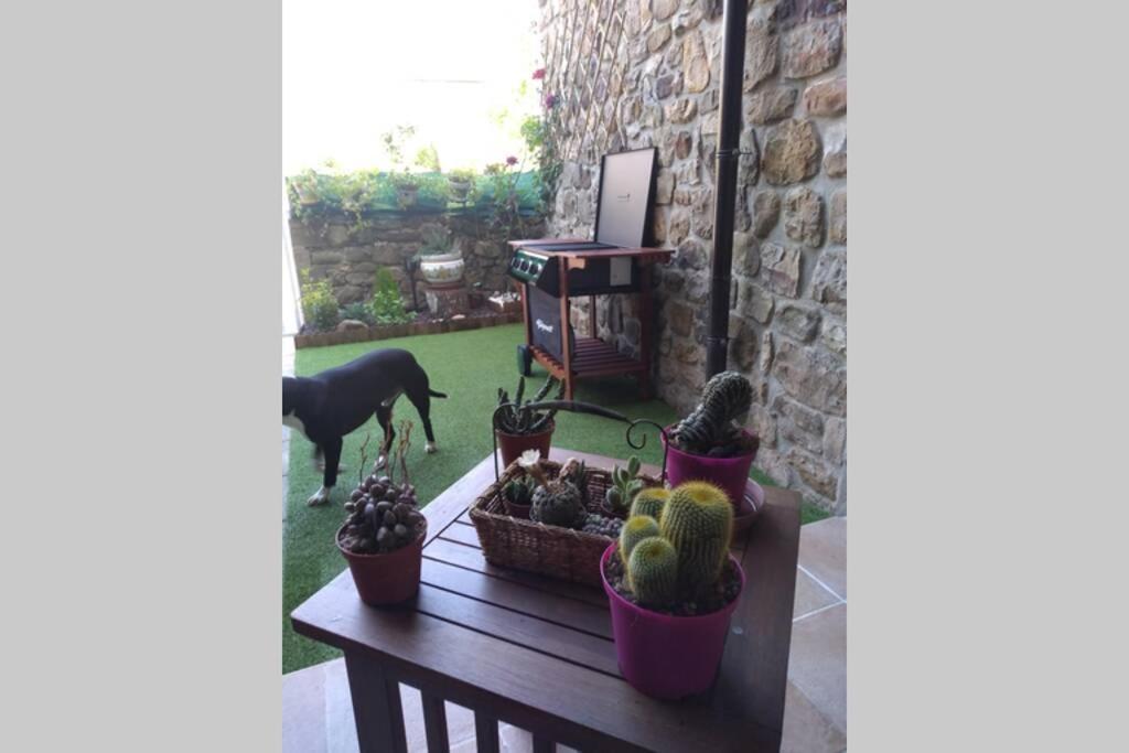 Casa Con Vistas En Ucieda Villa Exterior foto